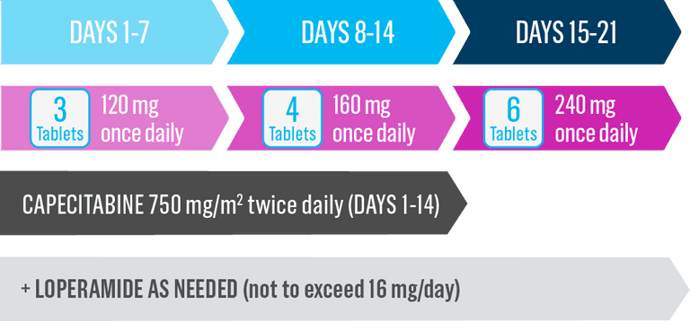 Metastatic Treatment | NERLYNX® (neratinib) Tablets